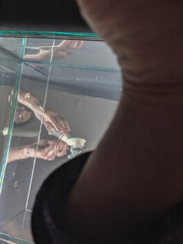 Spacebirth 2